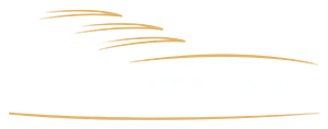 Logo Rodapé YachtMax